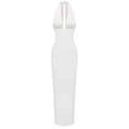 BIANA MESH LONG DRESS