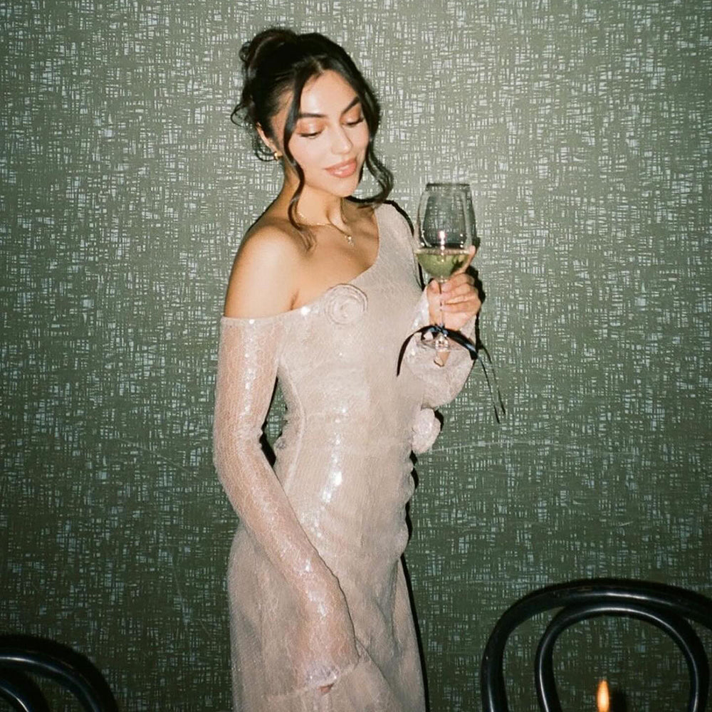 EMMA  MESH LONG SLEEVE DRESS