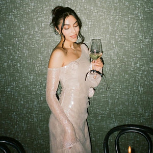 EMMA  MESH LONG SLEEVE DRESS