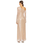 EMMA  MESH LONG SLEEVE DRESS