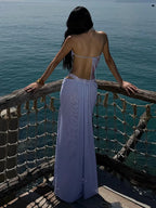 CHLOE HALTER NECK BACKLESS MAXI DRESS