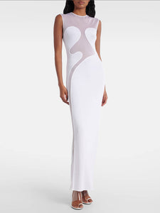 NIXY MESH LONG DRESS