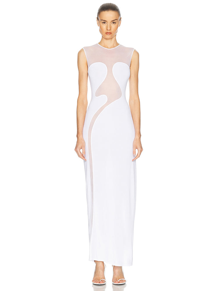 NIXY MESH LONG DRESS