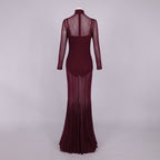 ABBI SEXY BURGUNDY SHEER MESH DRESS SET
