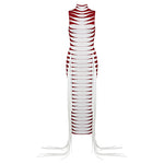 Load image into Gallery viewer, SOMYA TASSEL MAXI DRESS
